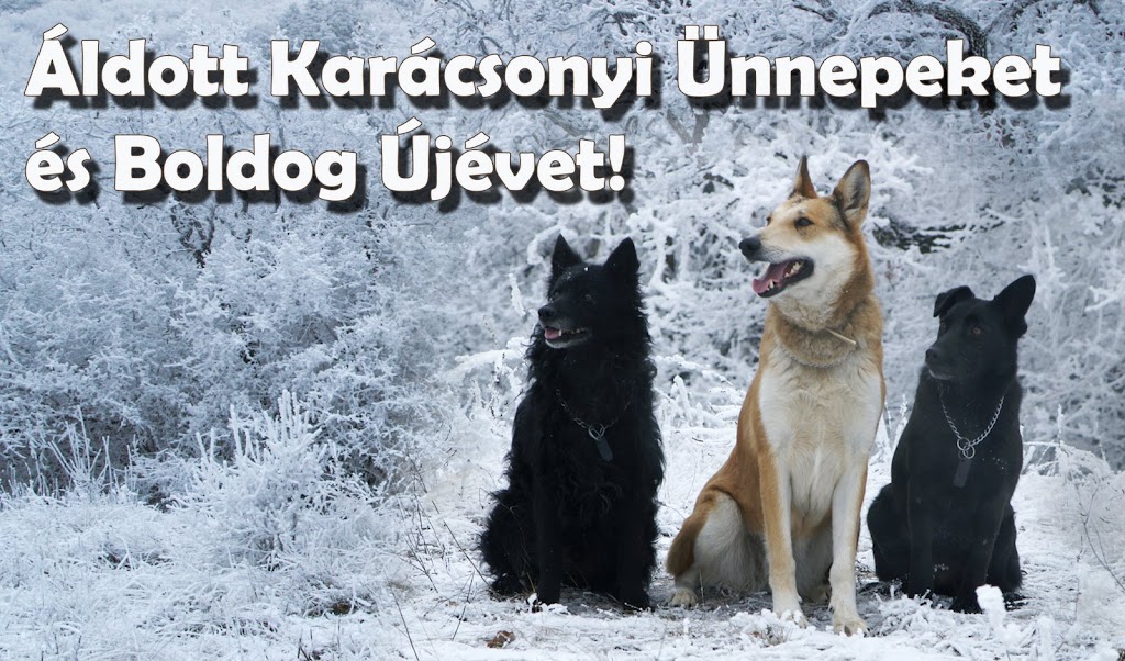 heroszsuli