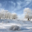 classicalrussianwinter Iarna nu vrea sa plece ( Galerie Foto )