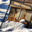 wintertextures Iarna nu vrea sa plece ( Galerie Foto )