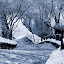 winter8 Iarna nu vrea sa plece ( Galerie Foto )