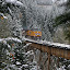 winterfreightonsaltcreektrestle Iarna nu vrea sa plece ( Galerie Foto )