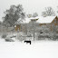 wintersceneryiii Iarna nu vrea sa plece ( Galerie Foto )