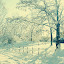 winterkomm Iarna nu vrea sa plece ( Galerie Foto )