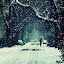wintermemorie Iarna nu vrea sa plece ( Galerie Foto )