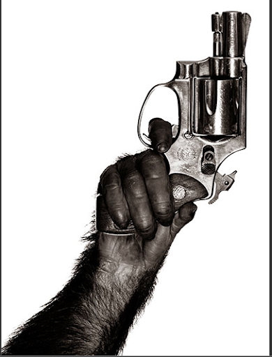 media_1285262969806.png