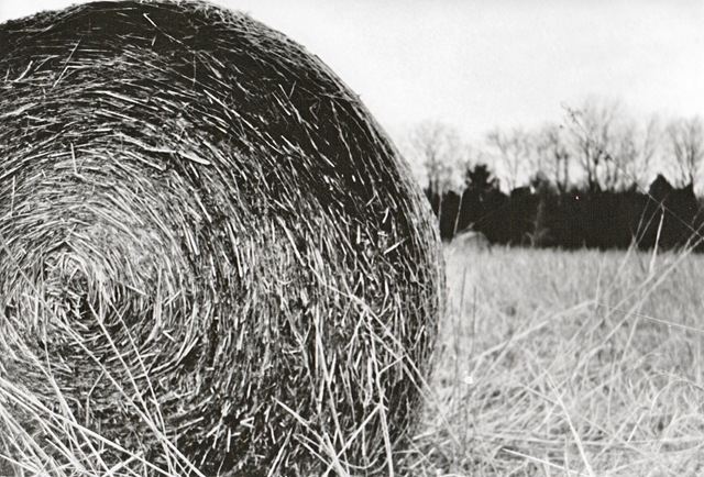 [Haybale[6].jpg]