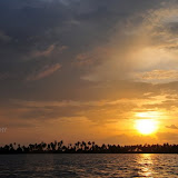 DSC_0080.JPG