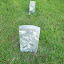 Aycock Family - Aycock Cemetery