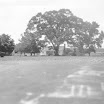 Farm Home of Neva copy.jpg