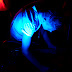 DSC_8012.JPG
