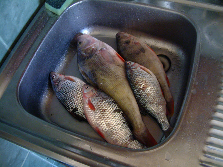 Paveikslėlis