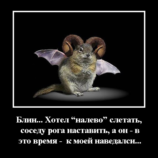 http://lh3.ggpht.com/_otmYcjCLyc4/TTL4dWzLXwI/AAAAAAAABQ0/rdwRv2HBENI/roga-001.jpg