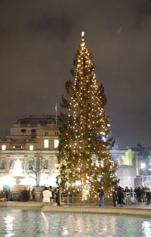 [Trafalgar Square Christmas Lights and Champagne Concert[16].jpg]