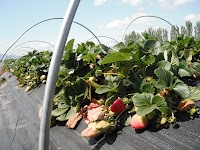 DSCF0351.JPG