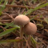 DSCF8465.RAF.jpg