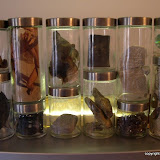 Vestiges, K.M. Newton, 2003  Medium: found objects, specimen jars   Dimensions: 30 inches by 24 inches   Statement: Vestiges of human thought.  Showings & Awards:  Regional Arts Center - February 2006 - Hammond , LA  Juried Art Exhibition - Visual Arts Society