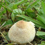 DSCF8687.JPG