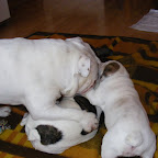 DSCF6660.JPG