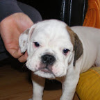 DSCF6645.JPG