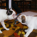 DSCF6761.JPG