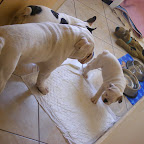 DSCF6771.JPG