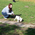 100_3154.JPG