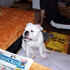 100_3238.JPG