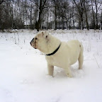 DSC00164.JPG