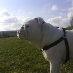 DSC00235.JPG