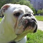 DSC00303.JPG