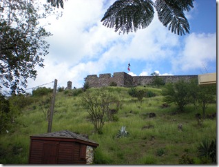 DSCN3189 DSCN3189