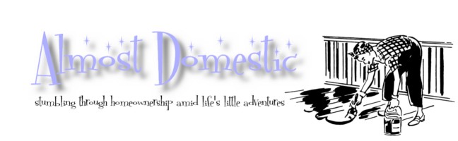 Almost Domestic