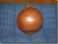 DSC01141