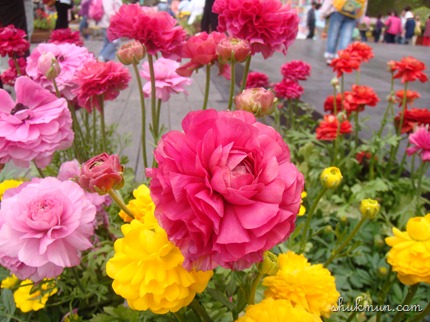 DSC04708