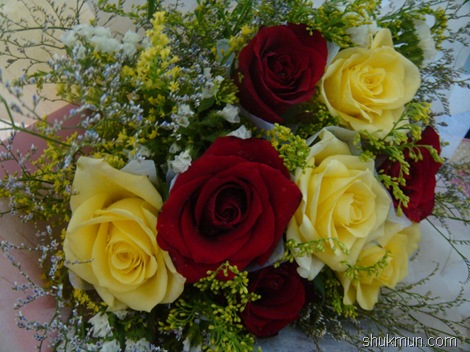 [DSC04086[1].jpg]