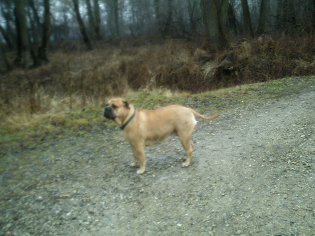 BILD0285.JPG