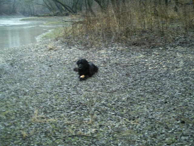 BILD0313.JPG