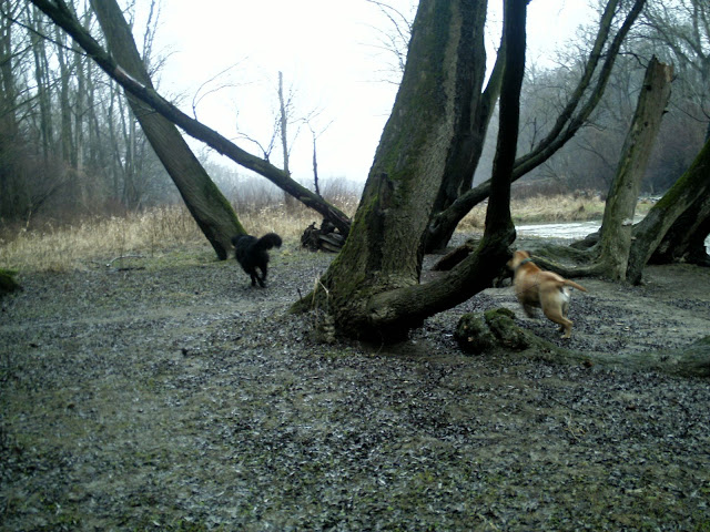 BILD0318.JPG