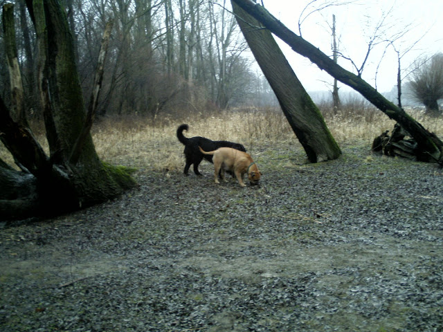 BILD0323.JPG