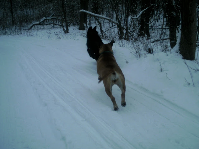 BILD0206.JPG