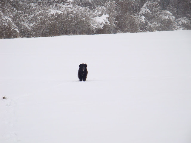 DSC00620.JPG