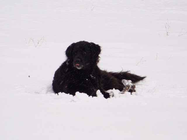 DSC00716.JPG