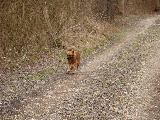 DSC01000.JPG