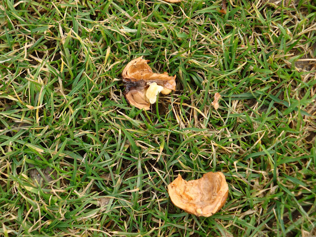 DSC01047.JPG