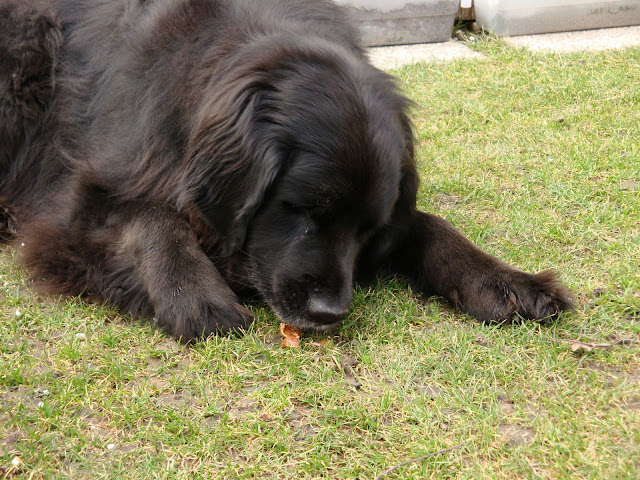 DSC01056.JPG
