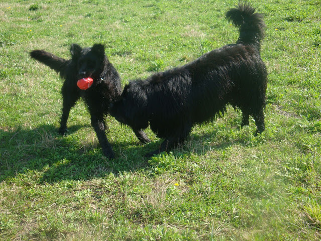 DSC01456.JPG