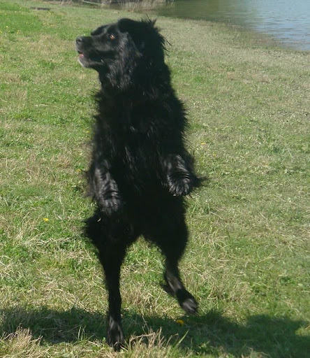 jump.jpg