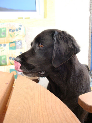 DSC02649.JPG