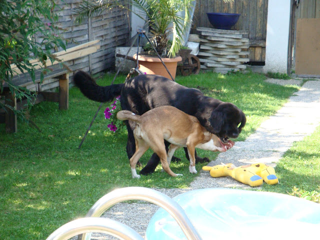 DSC02720.JPG