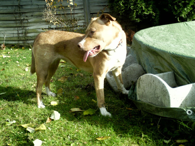 BILD0014.JPG